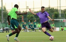 星空体育app-最新德甲球队排名预测与本赛季推荐强队